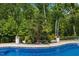 Beautiful backyard pool surrounded by lush landscaping, creating a serene outdoor oasis at 221 Obsidian Dr, Holly Springs, NC 27540