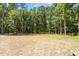 A large lot with tall trees in the backyard at 2405 Pearces Rd, Zebulon, NC 27597