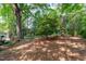 Lush backyard featuring large trees and landscaping at 2704 Fairview Rd, Raleigh, NC 27608