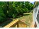 Picture of the backyard from the stairs of the back porch with lush green grass and tree line at 3029 Mountain Hill Dr, Wake Forest, NC 27587
