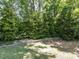 Tranquil backyard view featuring lush greenery, mature trees, and a rustic wooden border adding natural charm at 312 Heidinger Dr, Cary, NC 27511