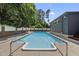 Outdoor in-ground swimming pool with ladder access, concrete deck, and lush landscaping at 3704 Swann St, Raleigh, NC 27612