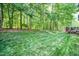 Lush green backyard featuring mature trees, providing shade and privacy with a well-manicured lawn and adjacent deck at 437 New Parkside Dr, Chapel Hill, NC 27516