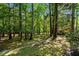 Lush backyard with mature trees providing ample shade, perfect for outdoor activities and relaxation at 515 Tramway West Rd, Sanford, NC 27330