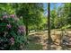 Beautiful backyard with blooming shrubs and mature trees, offering a private and tranquil setting at 515 Tramway West Rd, Sanford, NC 27330