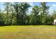 Expansive backyard with lush green grass and mature trees at 521 Marion Hills Way, Knightdale, NC 27545