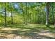 Grassy backyard under trees with dappled sunlight at 54 Malcolm Neal Path, Louisburg, NC 27549