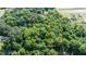 Aerial view of land showcasing approximate boundary lines of the wooded property at 726 Thomas Rd, Rocky Mount, NC 27801