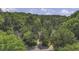 An aerial shot showcases a house nestled amongst green trees in a residential neighborhood at 900 Finchurch Cir, Wake Forest, NC 27587