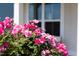 Well-manicured landscaping with blooming flowers at 1102 Birchbark Rd, Durham, NC 27705