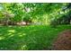Expansive backyard with lush lawn and privacy from mature trees at 1111 Sourwood Cir, Chapel Hill, NC 27517