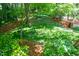Picturesque backyard with lush greenery and a charming rope swing hanging from a mature tree at 1111 Sourwood Cir, Chapel Hill, NC 27517