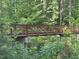 Picture of community footbridge set among mature trees and landscaping at 113 Ruskin Dr, Chapel Hill, NC 27516
