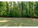 Expansive backyard with lush green grass and mature trees, offering a serene and private outdoor space at 1820 Yates Wheel Way, Raleigh, NC 27606