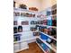 The pantry features built-in shelving and ample storage space for food and other items at 1820 Yates Wheel Way, Raleigh, NC 27606