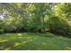 Expansive backyard with lush green lawn and mature trees, providing a tranquil and inviting outdoor space at 19 Oak Dr, Durham, NC 27707
