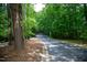 Beautiful tree-lined street showcases a tranquil and welcoming neighborhood environment at 205 Windbyrne Dr, Cary, NC 27513