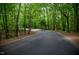 Scenic road winding through a lush, green wooded area, offering a tranquil living environment at 205 Windbyrne Dr, Cary, NC 27513