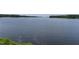 Scenic view of a wide, calm lake surrounded by lush green trees, under a clear sky at 312 Calvander Ln, Apex, NC 27539