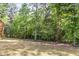 Fenced in backyard backing to a line of mature hardwood trees for added privacy at 3609 Jordan Shires Dr, New Hill, NC 27562