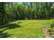 Large grassy backyard featuring mature trees, green grass, and natural landscaping at 4072 Mackenzie Dr, Haw River, NC 27258