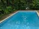 This backyard features a crystal-clear swimming pool with a vibrant blue interior and surrounded by lush greenery at 4205 Woodlawn Dr, Raleigh, NC 27616