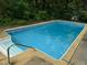 Inviting backyard pool features steps with a stainless steel handrail, perfect for enjoying a refreshing swim at 4205 Woodlawn Dr, Raleigh, NC 27616