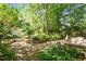 Secluded backyard with mature landscaping, stone patio, and outdoor dining area at 708 Mills St, Raleigh, NC 27608