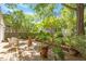 Relaxing backyard boasting a wooden deck and abundant greenery, offering a private and peaceful outdoor space at 708 Mills St, Raleigh, NC 27608
