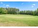 Beautiful golf course view with manicured green and towering trees under a clear blue sky at 77 Ruffed Grouse, Chapel Hill, NC 27517