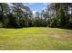 Expansive backyard featuring a large grassy area bordered by mature trees, creating a serene natural setting at 11 Mamie Ferguson Dr, Lillington, NC 27546