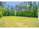 Over 1/2 acre lot backyard with mature trees, perfect for outdoor activities at 11 Mamie Ferguson Dr, Lillington, NC 27546