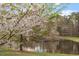 Scenic view of a pond, trees and blue sky at 112 Parkspring Ct, Cary, NC 27519