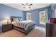 Blue bedroom features two large windows, a ceiling fan, carpet and a bed with striped bedding at 116 Dallavia Ct, Morrisville, NC 27560