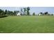 Expansive green community lawn offers residents an inviting and open space for recreation and relaxation at 120 Mearleaf Pl, Holly Springs, NC 27540