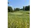 Beautiful golf course view on a sunny day, highlighting the lush green fairway and mature trees at 120 Mearleaf Pl, Holly Springs, NC 27540