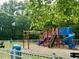 View of the community playground including slides and climbing equipment at 13017 Townfield Dr, Raleigh, NC 27614
