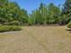 Expansive backyard with well-maintained lawn, mature trees, and landscaping, perfect for outdoor activities at 1701 Bodwin Ln, Apex, NC 27502