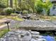 Backyard with pond, water feature, and greenery at 307 Clayton Rd, Chapel Hill, NC 27514