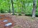 Backyard with trees and landscaping at 307 Clayton Rd, Chapel Hill, NC 27514