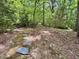 Backyard with trees and a stone path at 307 Clayton Rd, Chapel Hill, NC 27514