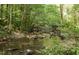 A peaceful creek with rocks and trees, creating a serene and natural environment at 481 Brook Green Ln # 23, Pittsboro, NC 27312