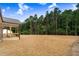 Backyard with green trees and a covered porch attached to the house at 56 Birchtop Cir, Zebulon, NC 27597