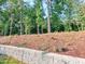 Beautiful landscaping with a retaining wall, plants, and trees enhances the backyard's natural beauty and serenity at 642 The Parks Dr, Pittsboro, NC 27312