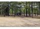 Community playground with play structures and swings offers a safe and fun environment for children to enjoy outdoor activities at 642 The Parks Dr, Pittsboro, NC 27312