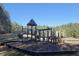 Community playground with slide and climbing structures surrounded by mature trees at 642 The Parks Dr, Pittsboro, NC 27312