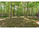 Spacious backyard featuring mature trees, offering shade and privacy at 110 Ferris Wheel Ct, Cary, NC 27513