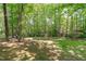 Green backyard with mature trees, offering shade and privacy at 110 Ferris Wheel Ct, Cary, NC 27513