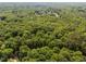 Breathtaking aerial view of lush green treetops at 12537 Birchfalls Dr, Raleigh, NC 27614