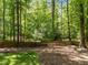 Large wooded backyard with a brown wooden fence at 12537 Birchfalls Dr, Raleigh, NC 27614